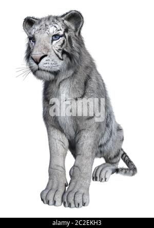 3D-Rendering von einem weißen Tiger auf weißem Hintergrund Stockfoto