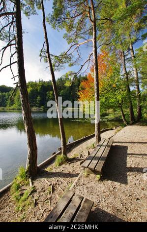 Kesselsee, EggstÃ¤tt, Chiemgau, Oberbayern, Deutschland Stockfoto