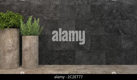 Zylindrische Beton-Blumentöpfe mit loftartigen Pflanzen stehen an einer schwarzen Wand. Vorderansicht mit Kopierplatz. 3D-Rendering-Illustration. Stockfoto