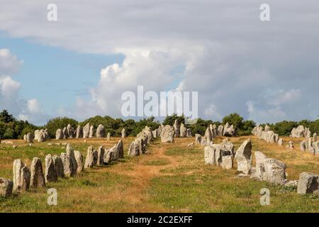 Alignements de Kermario, Zeilen der stehenden Steine - Menhire, die größte Megalithen in der Welt, Carnac, Bretagne, Frankreich Stockfoto