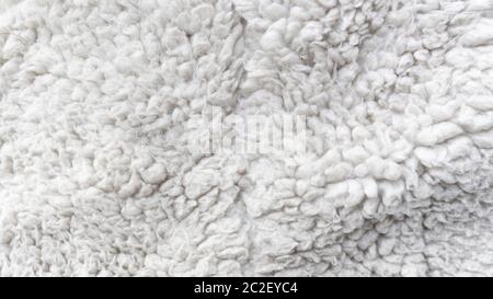 Schafwolle karierten Material Schafshaut Stockfoto