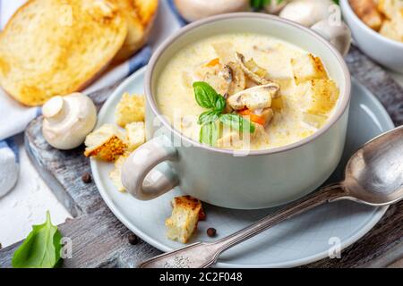 Kochtopf mit Hühnercremesuppe mit Pilzen. Stockfoto