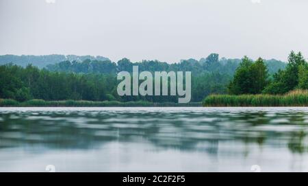 Blick auf einen Wald hinter dem Olbersdorf bei Zittau, Sachsen/Deutschland Stockfoto
