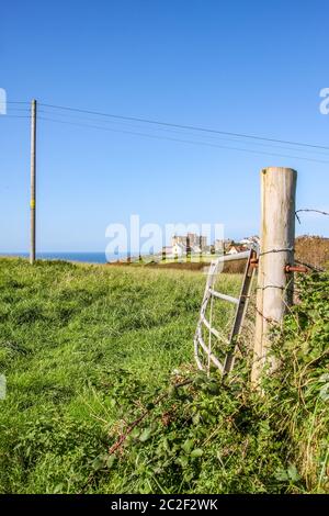 cornwall Landschaft Landschaft Stockfoto