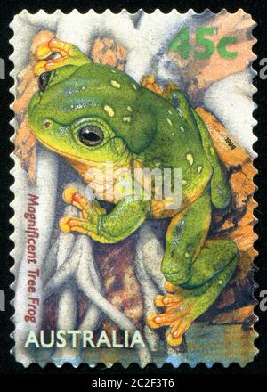 AUSTRALIEN - UM 1999: Briefmarke gedruckt von Australien, zeigt Frosch, um 1999 Stockfoto