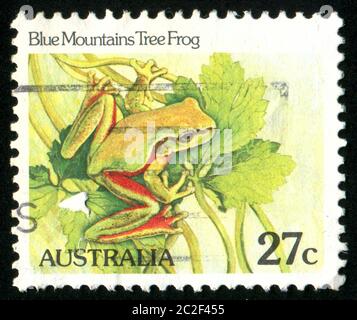 Australien - ca. 1981: Briefmarke von Australien gedruckt, zeigt Blue Mountains Tree Frog, ca. 1981 Stockfoto