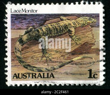 AUSTRALIEN - UM 1981: Stempel gedruckt von Australien, zeigt Lace Monitor, um 1981 Stockfoto