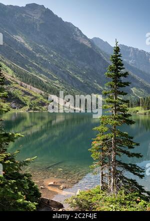 Bertha See, Landschaft des Waterton Lakes National Park mit blauem Himmel, Alberta, Kanada Stockfoto