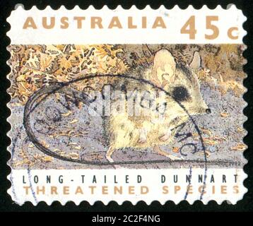 AUSTRALIEN - UM 1992: Stempel gedruckt von Australien, zeigt Maus, um 1992 Stockfoto