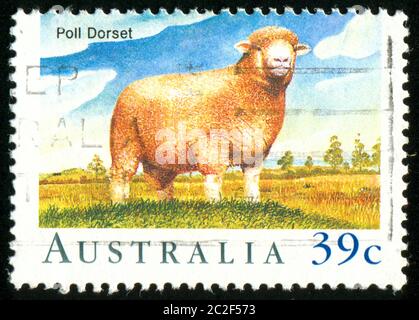 AUSTRALIEN - UM 1989: Briefmarke gedruckt von Australien, zeigt Schafe, um 1989 Stockfoto