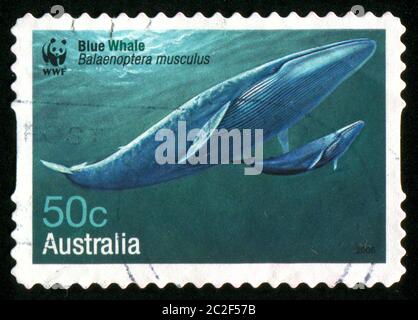 AUSTRALIEN - UM 2006: Stempel gedruckt von Australien, zeigt Blauwal, um 2006 Stockfoto