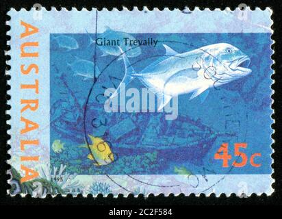 AUSTRALIEN - UM 1995: Briefmarke gedruckt von Australien, zeigt Giant trevally, um 1995 Stockfoto