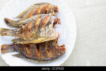 Frittierte Tilapia-fisch mit Fischsauce und Pfeffer Stockfoto