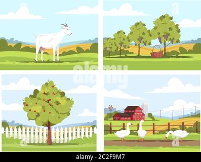 Dorf Szenen semi flach Vektor Illustration set. Milchziege steht in der Nähe von Zaun. Apfelbaum. Weinlese. Gänse füttern auf Ranch. Ackerland 2D-Carto Stock Vektor