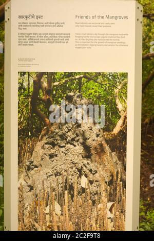 dr. salim ali Vogelschutzgebiet Stockfoto