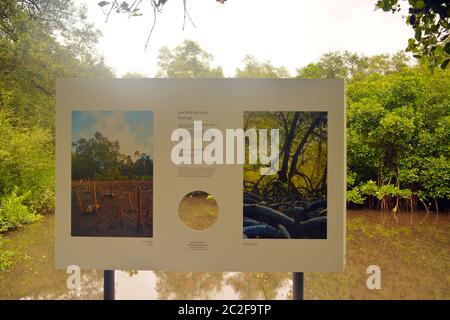 dr. salim ali Vogelschutzgebiet Stockfoto