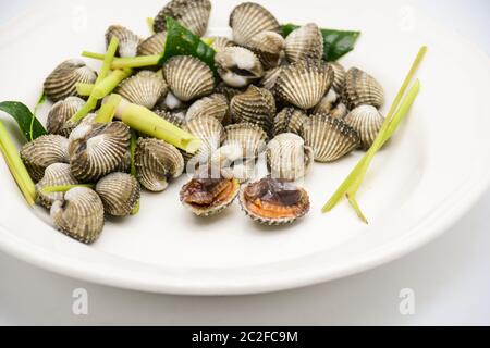 Gekochte Herzmuscheln oder Jakobsmuscheln mit Meeresfrüchtesoße Stockfoto