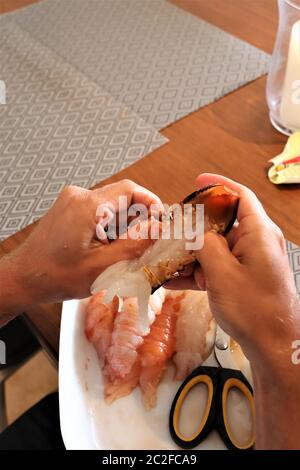 Um das Fleisch von Hummer oder Krebse Schwänze entfernen verwenden Küchenscheren oder Scheren, um die Schale auf der Unterseite zu öffnen, ist dies weicher als die Oberseite der Stockfoto