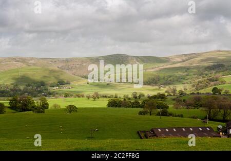 Schafe weiden auf Weidefeldern im Malhamdale Tal neben Malham Dorf unter den Moorbergen von England Yorkshire Dales. Stockfoto