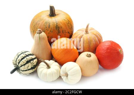 Sorten von Kürbis isoliert auf weißem Stockfoto