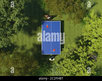 Single Tischtennis auf der grünen Wiese im Wald zwischen den Bäumen. Zwei Personen spielen Tischtennis auf Gras auf der Draufsicht. Glücksspiel in der Natur. 3D r Stockfoto