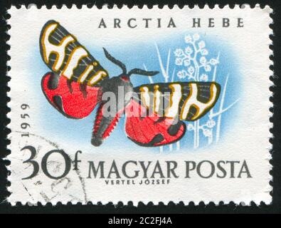 UNGARN - UM 1959: Briefmarke gedruckt von Ungarn, zeigt Schmetterling, um 1959 Stockfoto