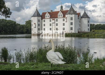 Swan in Glücksburg Schloss, Schleswig-Holstein, Deutschland Stockfoto