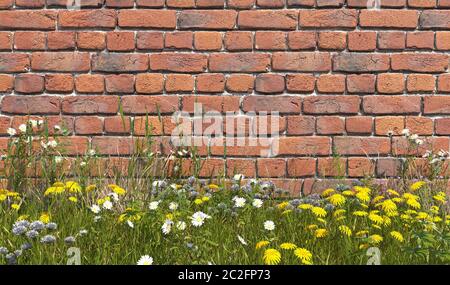 Alte Ziegelmauer mit Gras, überwuchert mit Unkraut und Wildblumen an einem sonnigen Sommertag. Vorderansicht. Abbildung mit Kopierbereich. 3D-Rendering. Stockfoto