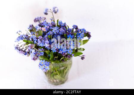 Blaue Wildblumen in einer Glasschale gegen eine weiße Wand. Weißer Hintergrund. Vergiss mich nicht. Stockfoto