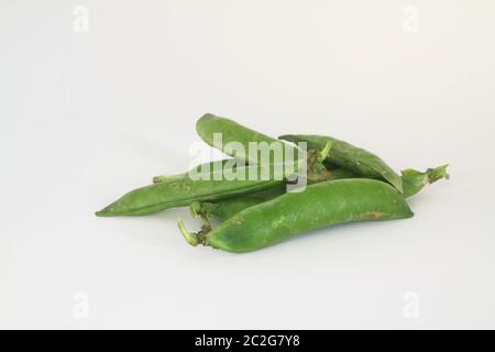 Ganze grüne Erbsen Hülsen Nahaufnahme isoliert auf weißem Hintergrund. Bio-Hintergrund mit frischen saftigen Erbsenfrüchten Stockfoto