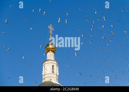Riesige Schar von Tauben fliegen über Glockenturm gegen den blauen Himmel in einem russisch-orthodoxen Kloster. Stockfoto