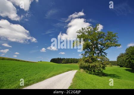 Landschaft bei Bad Endorf, Oberbayern, Deutschland, Westeuropa Stockfoto