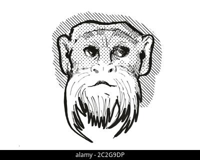 Retro Cartoon Stil Zeichnung Kopf eines Kaisers Tamarin, einen Affen Arten von vorne auf dem isolierten weißen Hintergrund in Schwarz und Weiß getan gesehen Stockfoto