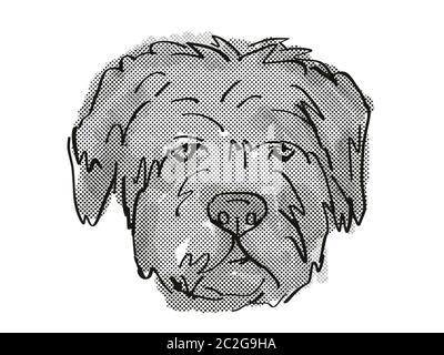 Retro Cartoon Stil Zeichnung der Kopf einer Bouvier des Flandres, eine inländische Hund oder Hund Rasse auf isolierten weißen Hintergrund in Schwarz und Weiß. Stockfoto