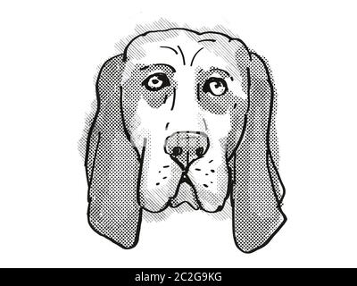 Retro Cartoon Stil Zeichnung der Kopf eines Basset Hound, eine inländische Hund oder Hund Rasse auf isolierten weißen Hintergrund in Schwarz und Weiß. Stockfoto