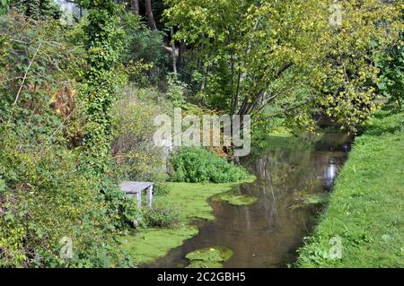 Kleiner Bach am Französischen Garten in Celle Stockfoto