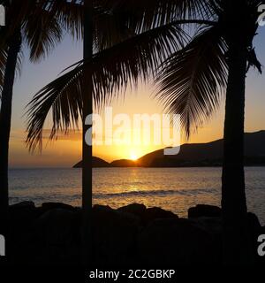 Toller Sonnenuntergang im Curtain Bluff, Antigua, Karibik - Palmen und ruhige Meer beobachten Sonne gehen auf den besten Urlaub Stockfoto