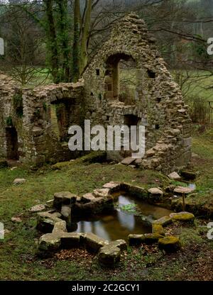 Sehen Sie SE of the Well & Chapel dedicated to St Mary in Wigfair, in der Nähe von St Asaph, Denbighshire, Wales, Großbritannien: Eine Brunnenkapelle am Ende des 17. Jahrhunderts, die Ende des 17. Jahrhunderts zerstört wurde. Stockfoto