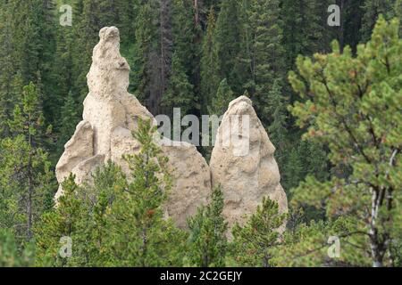 Schließen Sie herauf Bild der Hoodoos in der Nähe von Banff, Banff National Park, Alberta, Kanada Stockfoto