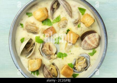 Clam Chowder, dekoriert mit frischer Petersilie und Croutons, Nahaufnahme overhead shot auf einem blauen Hintergrund Stockfoto