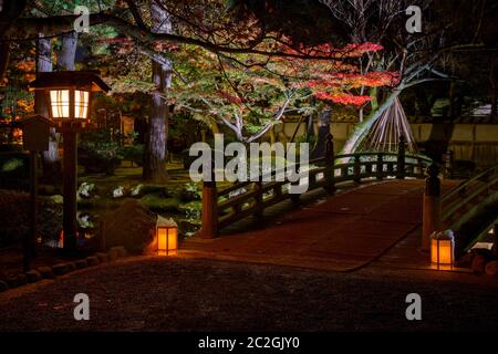 Beleuchtete Brücke in Kenrokuen Garten während des Red maple leaf Saison (momijigari), Kanazawa City, Präfektur Ishikawa, Japan Stockfoto