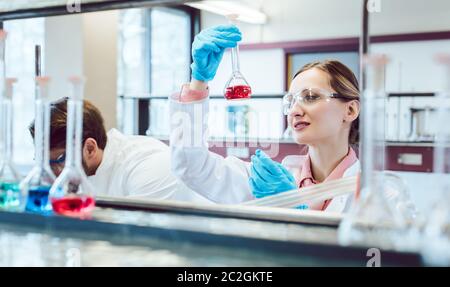 Analytischer Chemiker, der eine flüssige Lösung in Testglas analysiert Stockfoto