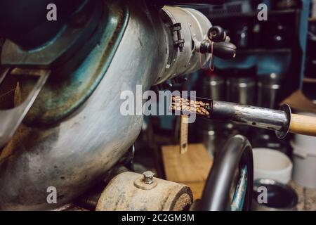 Probe aus dem Kaffeeröster genommen, sind die Bohnen fast fertig Stockfoto