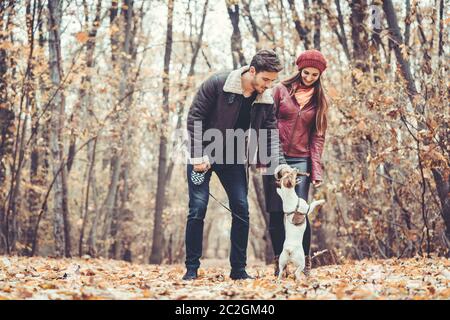 Paar im Herbst, Spaziergang mit Hund in einem Park spielen mit dem Haustier Stockfoto