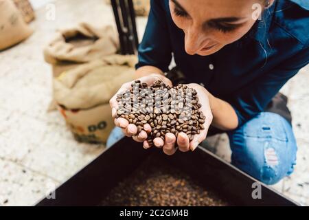 Barista Frau testet das Aroma von frischen Kaffeebohnen Schnüffeln Stockfoto