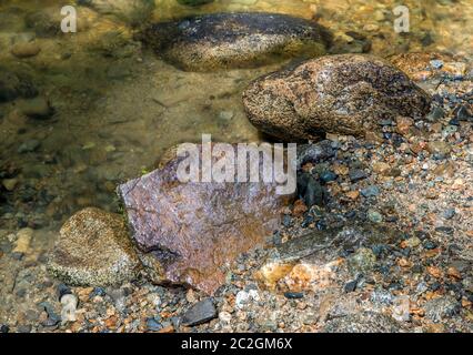 Flussfelsen fotografiert, so dass sie Gesichtsprofile von einigen Tieren ähnelt. Stockfoto