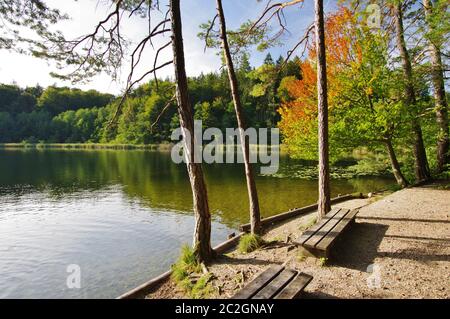 'Kesselsee', EggstÃ¤tt, Chiemgau, Oberbayern, Deutschland Stockfoto