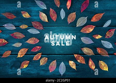 Autumn Sale. Rabatt Banner oder Flyer Design-Vorlage mit lebendigen Herbstblättern Stockfoto