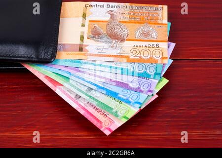 Gambische Dalasi in der schwarzen Mappe Stockfoto