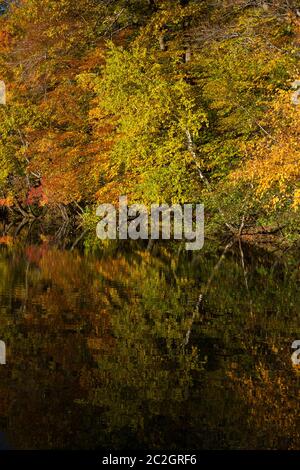 Parc national du Mont-Saint-Bruno im Herbst Stockfoto
